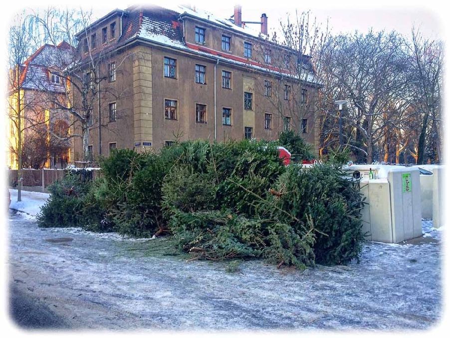 Demo der verbannten Weihnachtsbäume in Striesen an der Ecke Lauensteiner und Kipsdorfer Straße. Foto: Heiko Weckbrodt