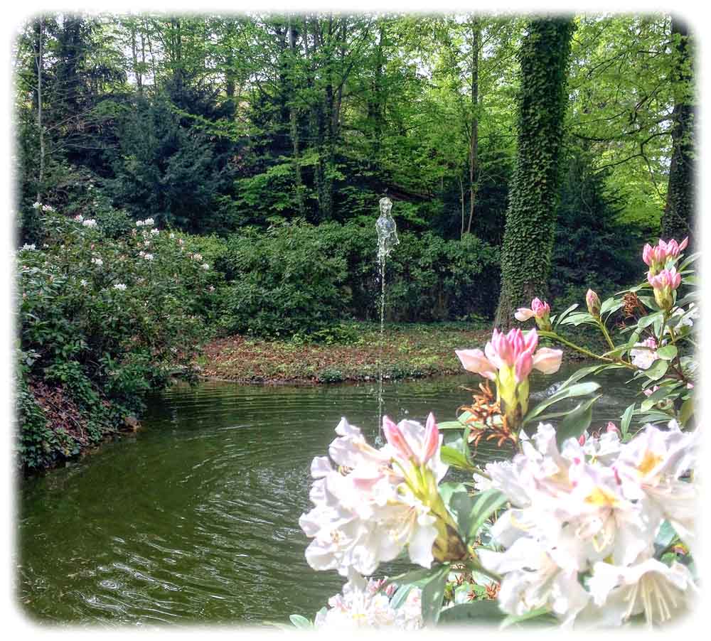 Im Park des Lingnerschlosses findet der aufmerksame Besucher einen Teich, in und an dem sich Blumen wie auch Amphibien wohlfühlen. Foto: Heiko Weckbrodt