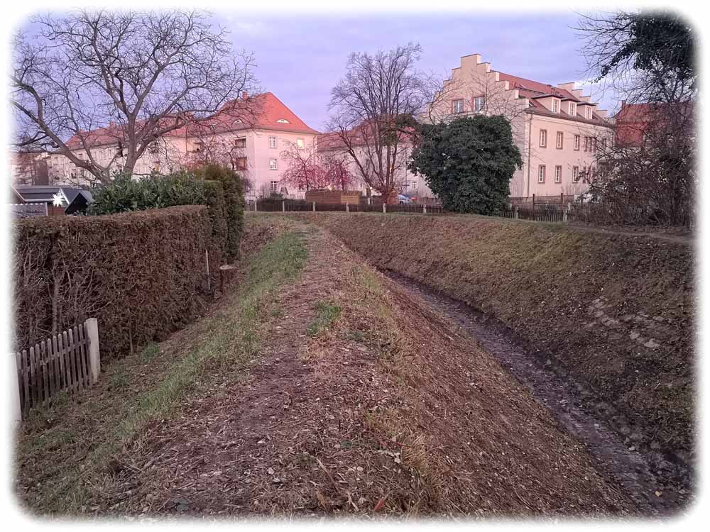 Der Blasewitz-Grunaer Landgraben am Kleinhausweg in Dresden-Gruna. Hier sehen die Fachleute vom Umweltamt im Flutfall einiges Überschwemmungsrisiko.  Foto: Heiko Weckbrodt