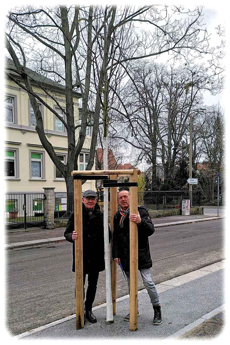 Friedrich Mewis (links) und Detlef Thiel an einem der neuen Bäume auf der Barlachstraße. Foto: Jana Kaden für die LHD