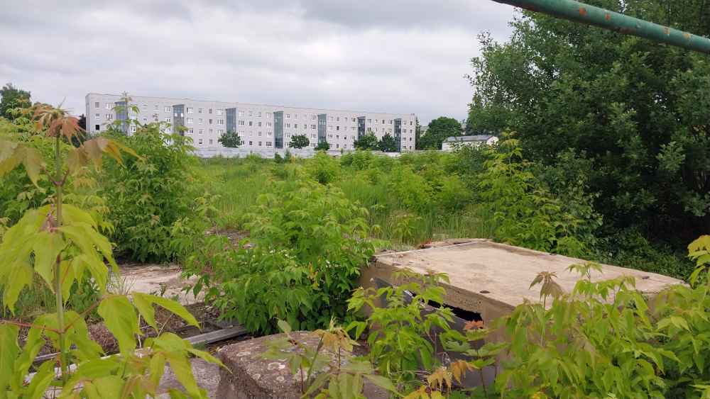 In der alten Gärtnerei an der Kipsdorfer Straße in Dresden-Tolkewitz soll ein Wohngebiet entstehen. Foto: Heiko Weckbrodt