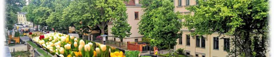 Blumen statt Autos wünschen sich die Grünen auf Dresdens Straßen. Fotos und Montage: hw
