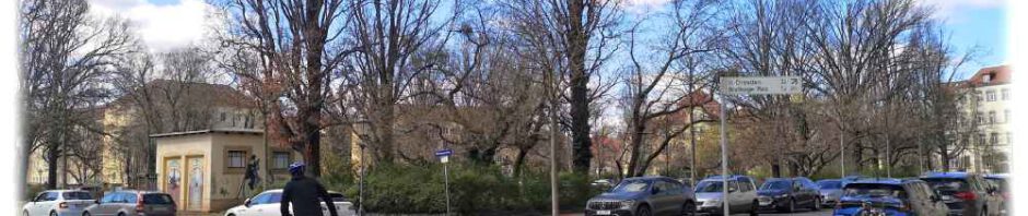 Um den alten Charakter des Stresemannplatzes zu erhalten, hat die Stadt dort alles bei der alten Rechts-vor-Links-Regel belassen. Die Radler wünschen sich hier allerdings Vorfahrt für jene, die bereits im Kreisverkehr unterwegs sind. Foto: Heiko Weckbrodt