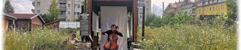 Benjamin Arnold spielt Bach auf dem Violoncello beim Gartenkonzert in der "Flora I" in Striesen. Foto: Heiko Weckbrodt